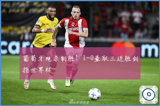 葡萄牙绝杀制胜！1-0豪取三连胜剑指世界杯