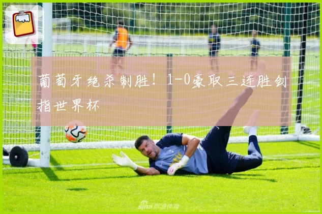 葡萄牙绝杀制胜！1-0豪取三连胜剑指世界杯